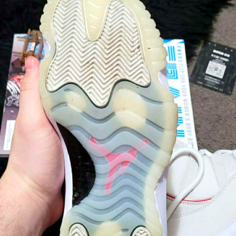 Jordan 11 Platinums